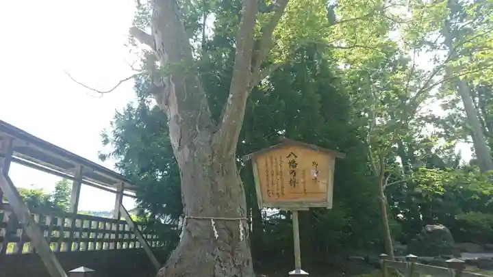 大畑八幡宮(青森県)