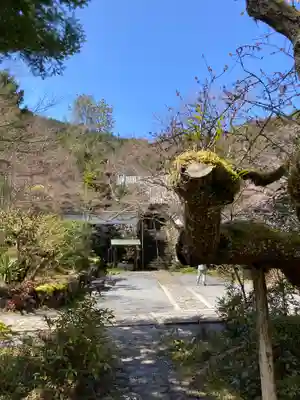 神藏寺(京都府)