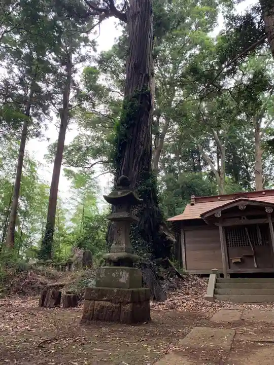 稲荷神社(千葉県)