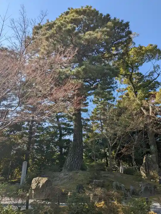 城南宮(京都府)