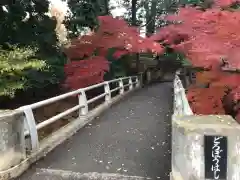 喜多院の建物その他