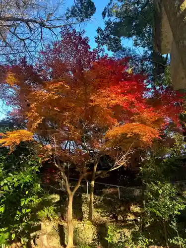 事任八幡宮(静岡県)