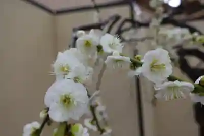菅原天満宮（菅原神社）のその他建物