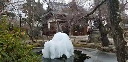 懐古神社の庭園