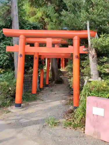 烏子稲荷神社の鳥居