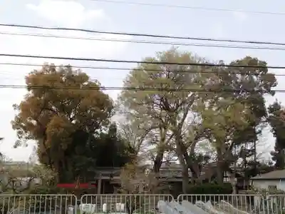 鏡作麻気神社の周辺