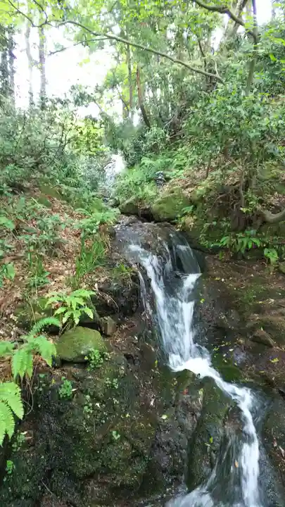 白山比咩神社の自然