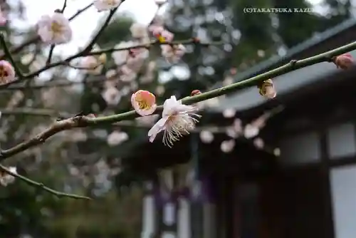 永谷天満宮(神奈川県)