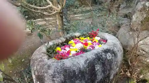 倶梨迦羅神社の手水舎
