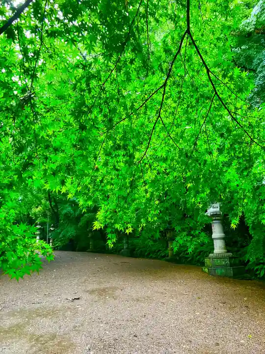 香取神宮(千葉県)