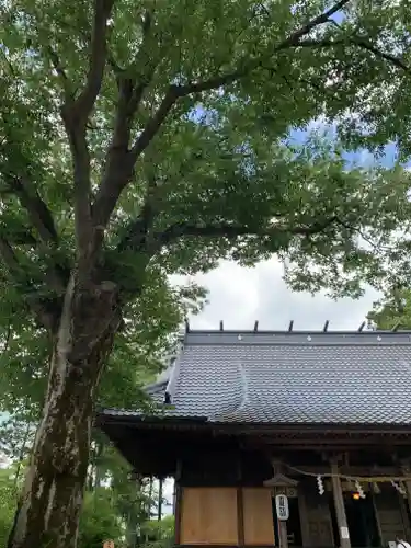 北宮諏方神社の本殿