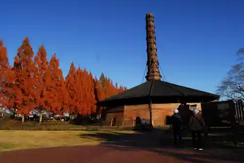 野木神社の体験その他