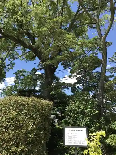 饒津神社の自然