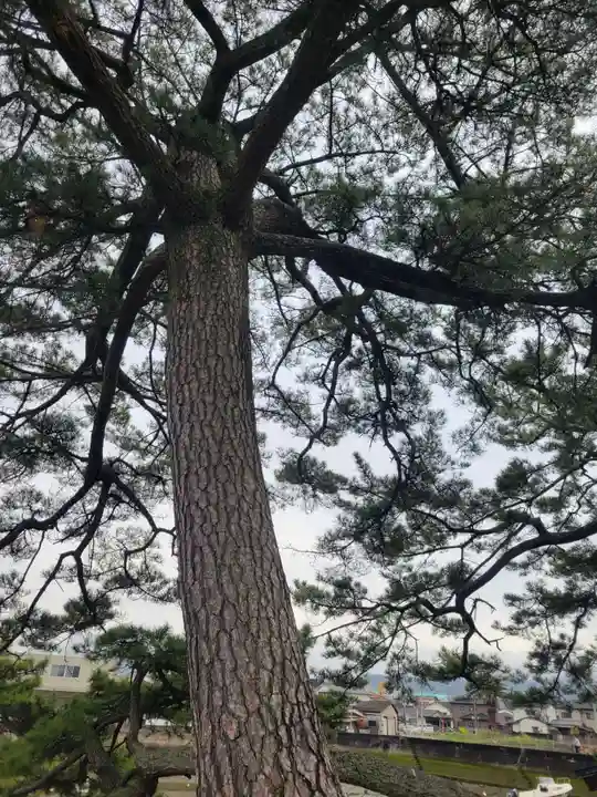 瀧姫神社(愛媛県)