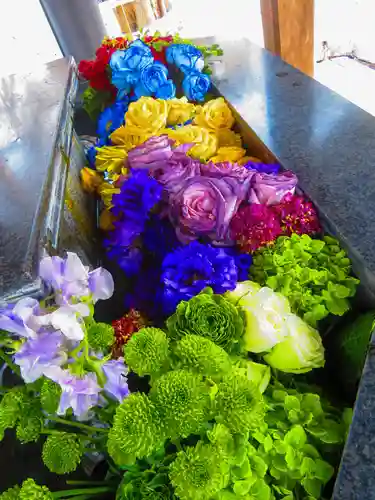 新琴似神社(北海道)