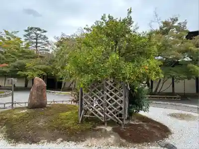 二尊院(京都府)