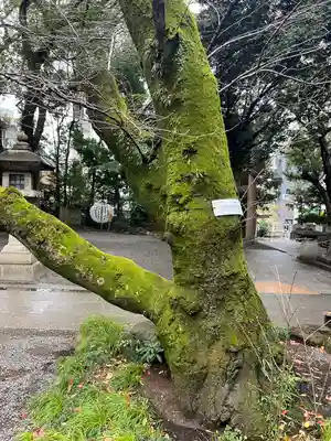 乃木神社(東京都)