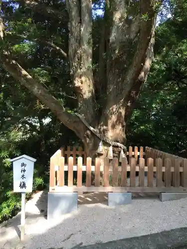 安房神社の自然