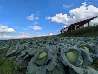寛永寺別院浅間山観音堂の自然