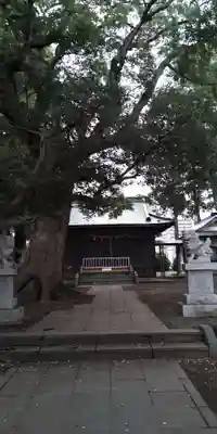 八幡神社(静岡県)