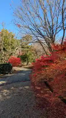 法金剛院(京都府)
