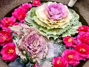 真言宗 善通寺派 薬王寺(香川県)(2023年02月05日(日) 14時00分23秒投稿)