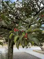 田縣神社(愛知県)