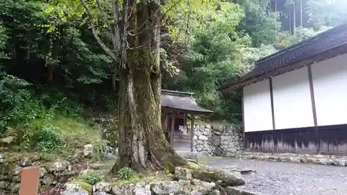 日吉大社(滋賀県)