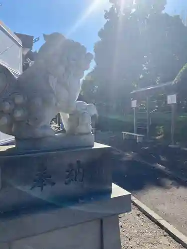 大曲神社の狛犬