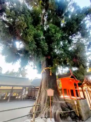 春日大社の{uncategorized: "未分類", other: "その他", undefined: "問題あり", building: "その他建物", grave: "お墓", sacred_gate: "鳥居", guardian: "狛犬", statue: "像", buddha: "仏像", history: "歴史", nature: "自然", garden: "庭園", animal: "動物", pagoda: "塔", temizu: "手水舎", mountain_gate: "山門・神門", sanctuary: "本殿・本堂", subordinate: "末社・摂社", art: "芸術", scenery: "景色", jizo: "地蔵", ema: "絵馬", goshuin: "御朱印", omikuji: "おみくじ", items: "授与品その他", amulet: "お守り", goshuincho: "御朱印帳", eats: "食事", festival: "お祭り", votive_dance: "神楽", shichigosan: "七五三参", wedding: "結婚式", experience: "体験その他", initially: "初詣", around: "周辺", anti_infection: "感染症対策"}