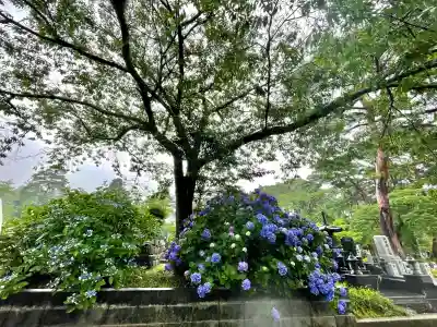 資福寺の{uncategorized: "未分類", other: "その他", undefined: "問題あり", building: "その他建物", grave: "お墓", sacred_gate: "鳥居", guardian: "狛犬", statue: "像", buddha: "仏像", history: "歴史", nature: "自然", garden: "庭園", animal: "動物", pagoda: "塔", temizu: "手水舎", mountain_gate: "山門・神門", sanctuary: "本殿・本堂", subordinate: "末社・摂社", art: "芸術", scenery: "景色", jizo: "地蔵", ema: "絵馬", goshuin: "御朱印", omikuji: "おみくじ", items: "授与品その他", amulet: "お守り", goshuincho: "御朱印帳", eats: "食事", festival: "お祭り", votive_dance: "神楽", shichigosan: "七五三参", wedding: "結婚式", experience: "体験その他", initially: "初詣", around: "周辺", anti_infection: "感染症対策"}