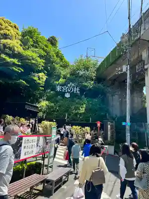 來宮神社(静岡県)