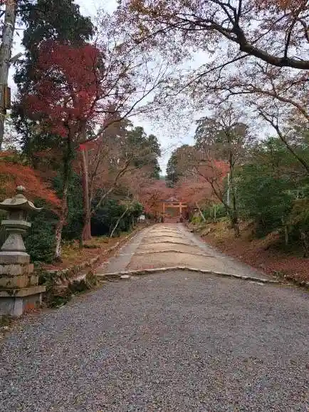 日吉大社(滋賀県)