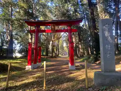 中村八幡宮(栃木県)