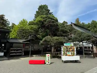 甲斐國一宮 浅間神社(山梨県)