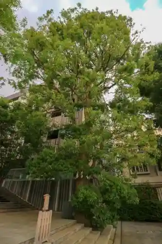 赤城神社のその他建物