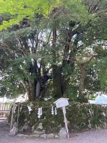 貴船神社の自然