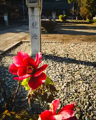 滋賀県護国神社(滋賀県)