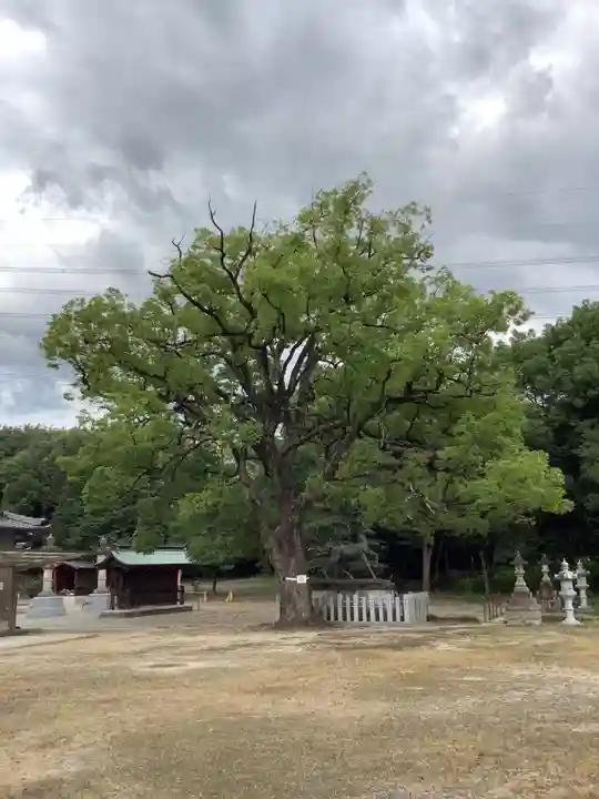 松原神社の自然
