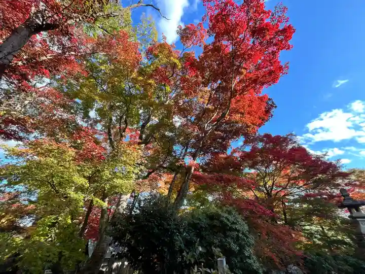 柳谷観音 楊谷寺(京都府)