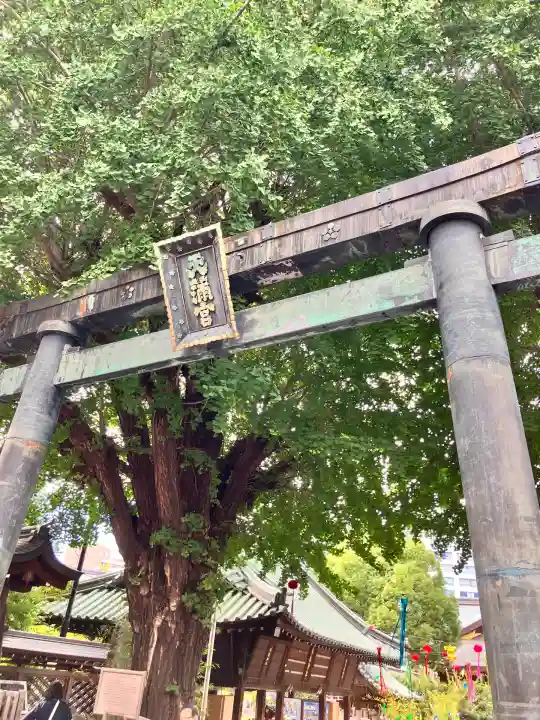 湯島天満宮(東京都)