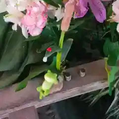 彌彦神社　(伊夜日子神社)(北海道)