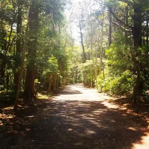 鹿島神宮の自然
