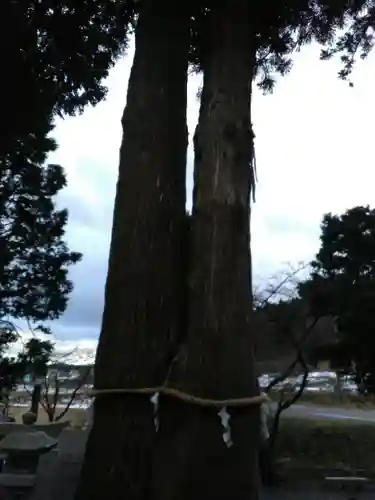 高司神社〜むすびの神の鎮まる社〜の自然