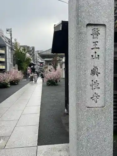 眞性寺の{uncategorized: "未分類", other: "その他", undefined: "問題あり", building: "その他建物", grave: "お墓", sacred_gate: "鳥居", guardian: "狛犬", statue: "像", buddha: "仏像", history: "歴史", nature: "自然", garden: "庭園", animal: "動物", pagoda: "塔", temizu: "手水舎", mountain_gate: "山門・神門", sanctuary: "本殿・本堂", subordinate: "末社・摂社", art: "芸術", scenery: "景色", jizo: "地蔵", ema: "絵馬", goshuin: "御朱印", omikuji: "おみくじ", items: "授与品その他", amulet: "お守り", goshuincho: "御朱印帳", eats: "食事", festival: "お祭り", votive_dance: "神楽", shichigosan: "七五三参", wedding: "結婚式", experience: "体験その他", initially: "初詣", around: "周辺", anti_infection: "感染症対策"}