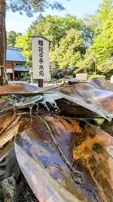 櫻木神社の手水舎