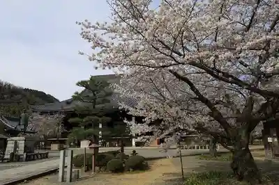 光明寺（粟生光明寺）(京都府)