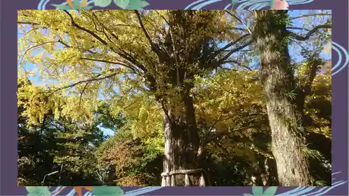 赤坂氷川神社(東京都)