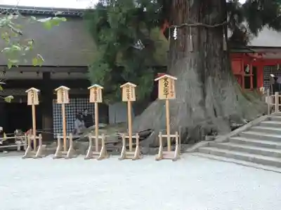 春日大社(奈良県)