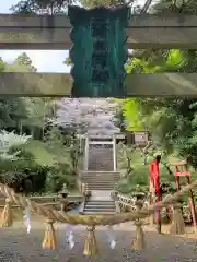 百々神社の鳥居